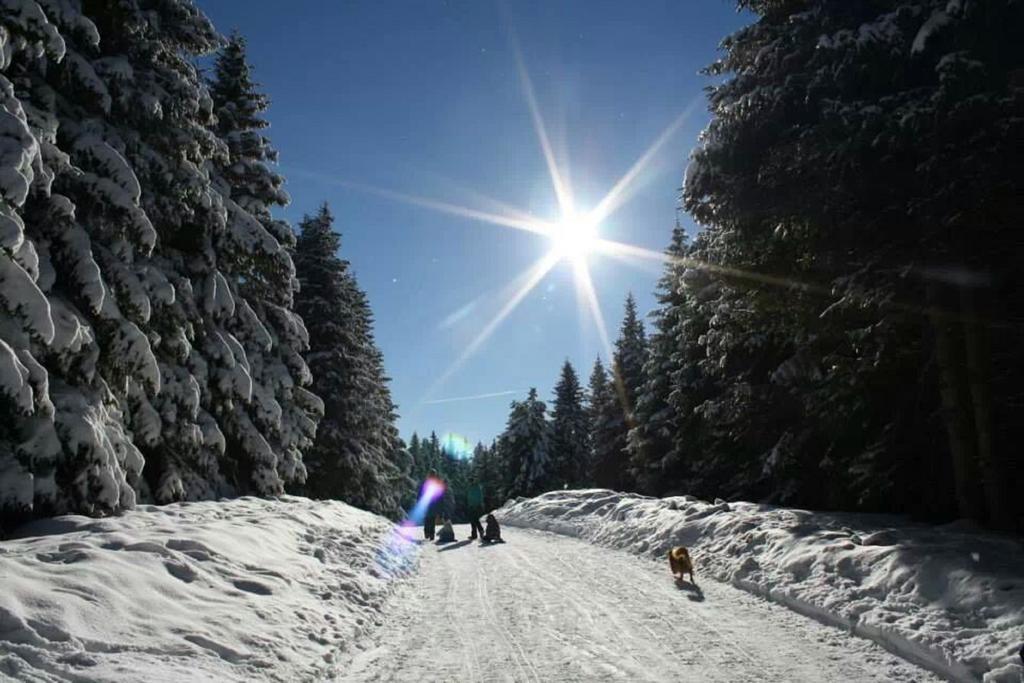Pension Kisela Fohnsdorf Buitenkant foto